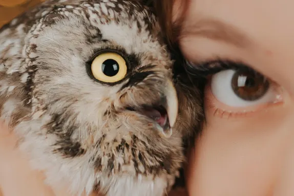 קאסינוקאסינו קזינו תמיכה